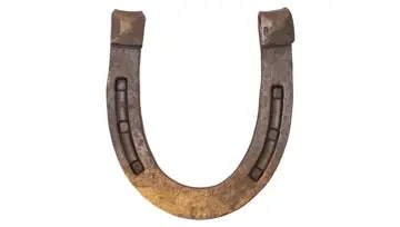 horseshoe 