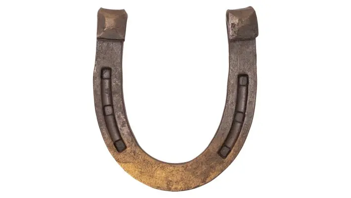 horseshoe 