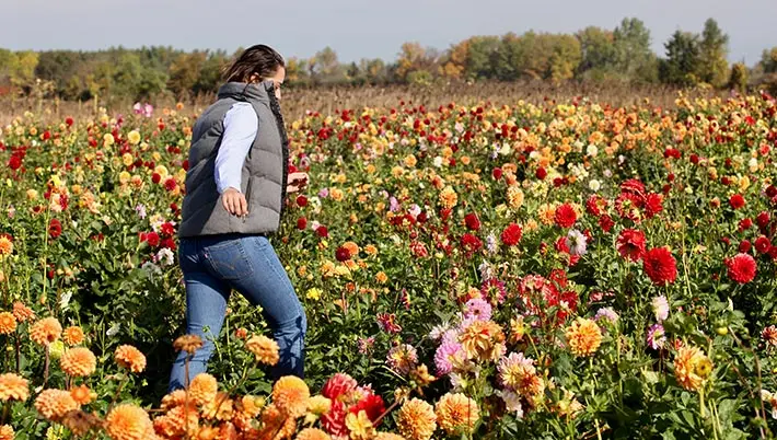 walking through a field of flowers 