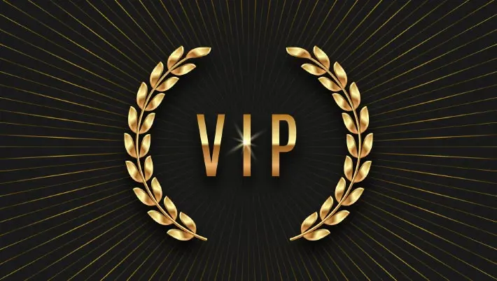 VIP logo 
