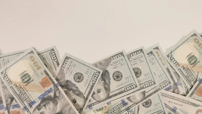 collection of dollar bills  