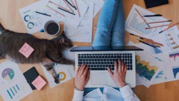 work from home concept